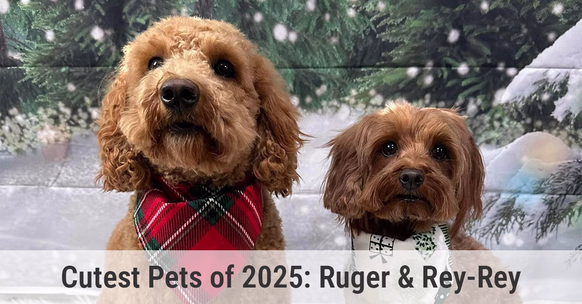 Cutest Pets of 2025: Ruger & Rey-Rey